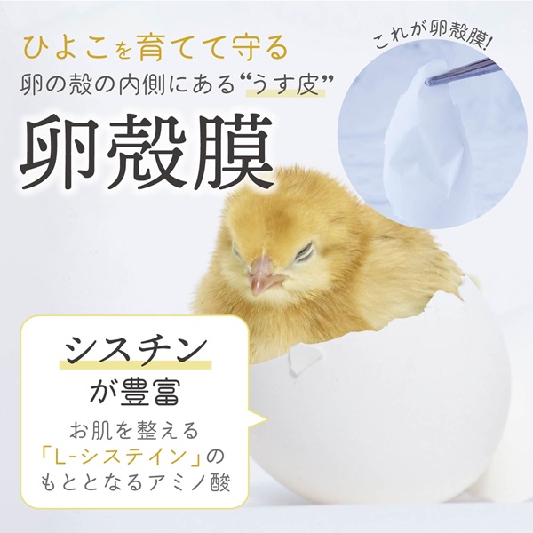 卵殻膜とは